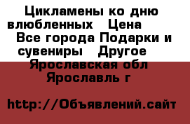 Цикламены ко дню влюбленных › Цена ­ 180 - Все города Подарки и сувениры » Другое   . Ярославская обл.,Ярославль г.